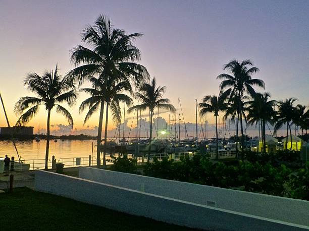 Barche nel porto di Dinner Key a Coconut Grove, Miami