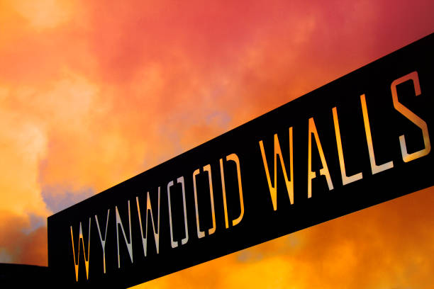 Murales colorati alle Wynwood Walls di Miami